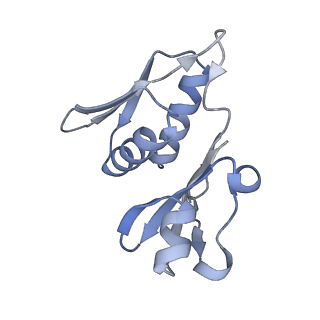 17631_8peg_H_v1-0
Escherichia coli paused disome complex (queueing 70S non-rotated closed PRE state)