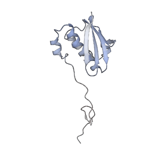 17631_8peg_I_v1-0
Escherichia coli paused disome complex (queueing 70S non-rotated closed PRE state)