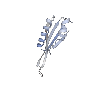 17631_8peg_J_v1-0
Escherichia coli paused disome complex (queueing 70S non-rotated closed PRE state)