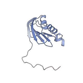 17631_8peg_K_v1-0
Escherichia coli paused disome complex (queueing 70S non-rotated closed PRE state)