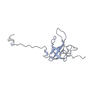 17631_8peg_L_v1-0
Escherichia coli paused disome complex (queueing 70S non-rotated closed PRE state)