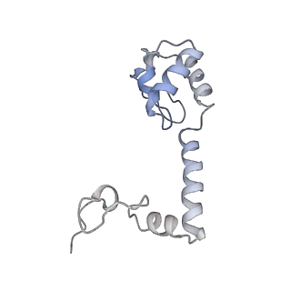 17631_8peg_M_v1-0
Escherichia coli paused disome complex (queueing 70S non-rotated closed PRE state)