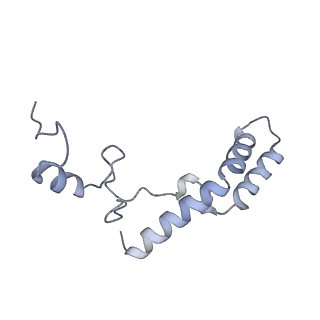 17631_8peg_N_v1-0
Escherichia coli paused disome complex (queueing 70S non-rotated closed PRE state)