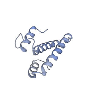 17631_8peg_O_v1-0
Escherichia coli paused disome complex (queueing 70S non-rotated closed PRE state)