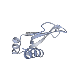 17631_8peg_P_v1-0
Escherichia coli paused disome complex (queueing 70S non-rotated closed PRE state)
