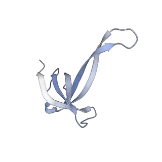 17631_8peg_Q_v1-0
Escherichia coli paused disome complex (queueing 70S non-rotated closed PRE state)