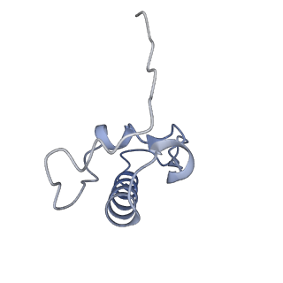 17631_8peg_R_v1-0
Escherichia coli paused disome complex (queueing 70S non-rotated closed PRE state)