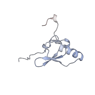 17631_8peg_S_v1-0
Escherichia coli paused disome complex (queueing 70S non-rotated closed PRE state)