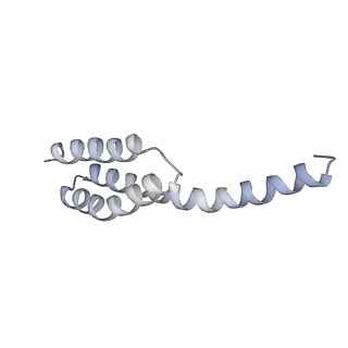 17631_8peg_T_v1-0
Escherichia coli paused disome complex (queueing 70S non-rotated closed PRE state)