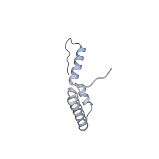 17631_8peg_U_v1-0
Escherichia coli paused disome complex (queueing 70S non-rotated closed PRE state)