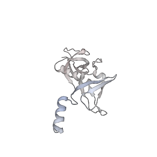 17631_8peg_Z_v1-0
Escherichia coli paused disome complex (queueing 70S non-rotated closed PRE state)