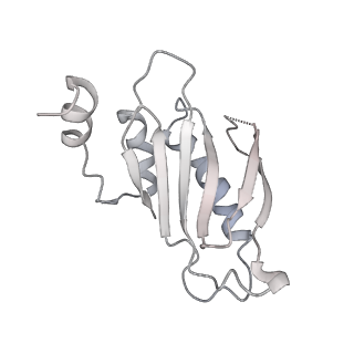 17631_8peg_a_v1-0
Escherichia coli paused disome complex (queueing 70S non-rotated closed PRE state)