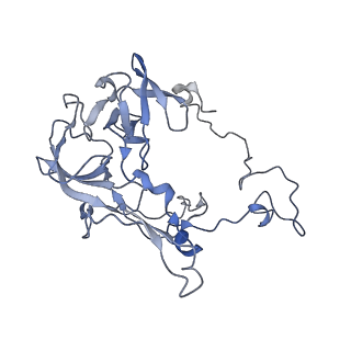 17631_8peg_b_v1-0
Escherichia coli paused disome complex (queueing 70S non-rotated closed PRE state)