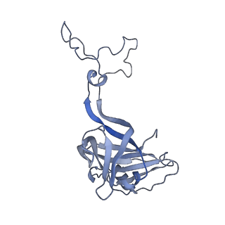 17631_8peg_c_v1-0
Escherichia coli paused disome complex (queueing 70S non-rotated closed PRE state)