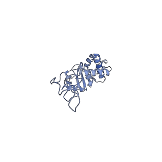 17631_8peg_d_v1-0
Escherichia coli paused disome complex (queueing 70S non-rotated closed PRE state)