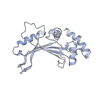 17631_8peg_e_v1-0
Escherichia coli paused disome complex (queueing 70S non-rotated closed PRE state)