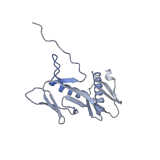 17631_8peg_f_v1-0
Escherichia coli paused disome complex (queueing 70S non-rotated closed PRE state)