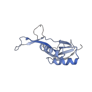 17631_8peg_h_v1-0
Escherichia coli paused disome complex (queueing 70S non-rotated closed PRE state)