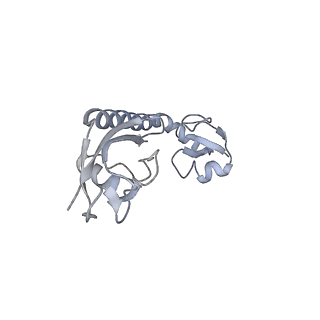 17631_8peg_i_v1-0
Escherichia coli paused disome complex (queueing 70S non-rotated closed PRE state)