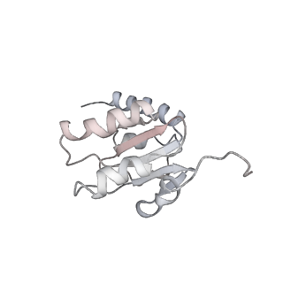 17631_8peg_j_v1-0
Escherichia coli paused disome complex (queueing 70S non-rotated closed PRE state)