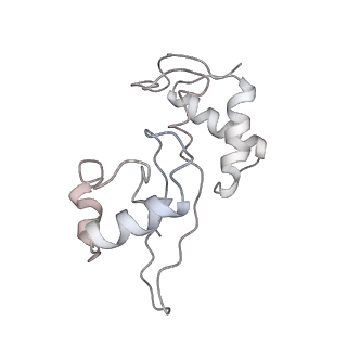 17631_8peg_k_v1-0
Escherichia coli paused disome complex (queueing 70S non-rotated closed PRE state)