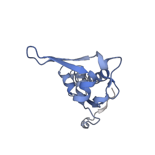 17631_8peg_m_v1-0
Escherichia coli paused disome complex (queueing 70S non-rotated closed PRE state)