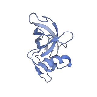 17631_8peg_n_v1-0
Escherichia coli paused disome complex (queueing 70S non-rotated closed PRE state)