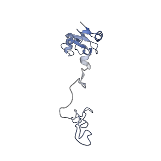 17631_8peg_o_v1-0
Escherichia coli paused disome complex (queueing 70S non-rotated closed PRE state)