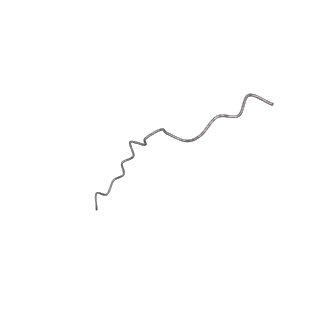 17631_8peg_p_v1-0
Escherichia coli paused disome complex (queueing 70S non-rotated closed PRE state)