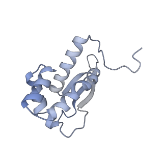 17631_8peg_q_v1-0
Escherichia coli paused disome complex (queueing 70S non-rotated closed PRE state)