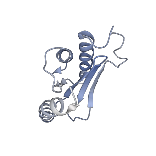 17631_8peg_r_v1-0
Escherichia coli paused disome complex (queueing 70S non-rotated closed PRE state)