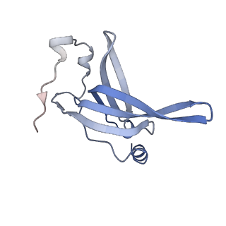 17631_8peg_s_v1-0
Escherichia coli paused disome complex (queueing 70S non-rotated closed PRE state)