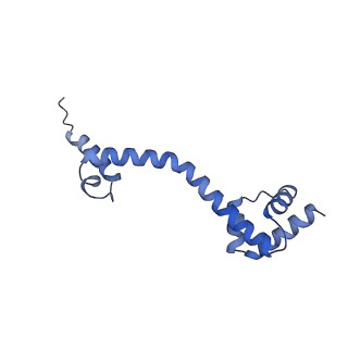 17631_8peg_t_v1-0
Escherichia coli paused disome complex (queueing 70S non-rotated closed PRE state)