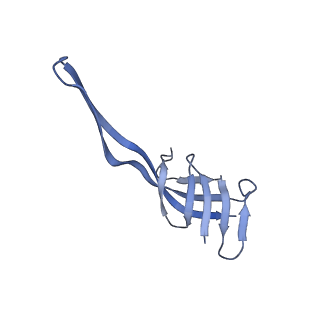 17631_8peg_u_v1-0
Escherichia coli paused disome complex (queueing 70S non-rotated closed PRE state)