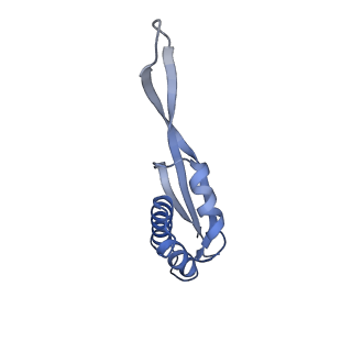 17631_8peg_v_v1-0
Escherichia coli paused disome complex (queueing 70S non-rotated closed PRE state)