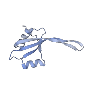 17631_8peg_w_v1-0
Escherichia coli paused disome complex (queueing 70S non-rotated closed PRE state)