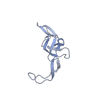 17631_8peg_x_v1-0
Escherichia coli paused disome complex (queueing 70S non-rotated closed PRE state)