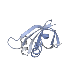 17631_8peg_y_v1-0
Escherichia coli paused disome complex (queueing 70S non-rotated closed PRE state)