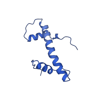 17633_8peo_B_v1-3
H3K36me2 nucleosome-LEDGF/p75 PWWP domain complex