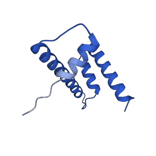 17633_8peo_D_v1-3
H3K36me2 nucleosome-LEDGF/p75 PWWP domain complex