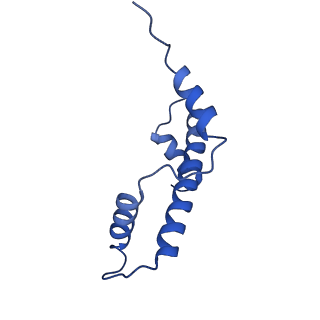 17633_8peo_E_v1-3
H3K36me2 nucleosome-LEDGF/p75 PWWP domain complex