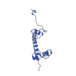 17633_8peo_G_v1-3
H3K36me2 nucleosome-LEDGF/p75 PWWP domain complex