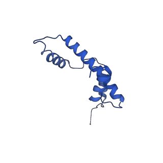 17634_8pep_A_v1-3
H3K36me2 nucleosome-LEDGF/p75 PWWP domain complex - pose 2