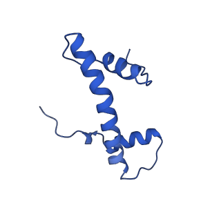 17634_8pep_B_v1-3
H3K36me2 nucleosome-LEDGF/p75 PWWP domain complex - pose 2