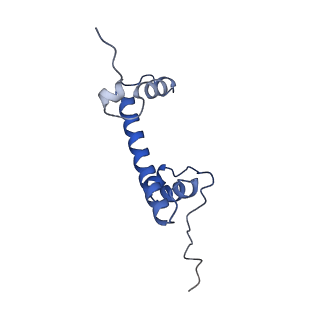 17634_8pep_C_v1-3
H3K36me2 nucleosome-LEDGF/p75 PWWP domain complex - pose 2