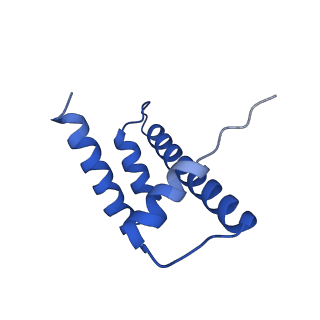 17634_8pep_D_v1-3
H3K36me2 nucleosome-LEDGF/p75 PWWP domain complex - pose 2