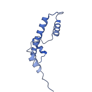 17634_8pep_E_v1-3
H3K36me2 nucleosome-LEDGF/p75 PWWP domain complex - pose 2