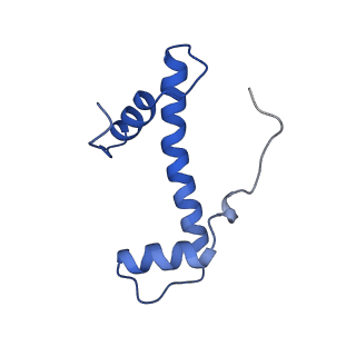 17634_8pep_F_v1-3
H3K36me2 nucleosome-LEDGF/p75 PWWP domain complex - pose 2