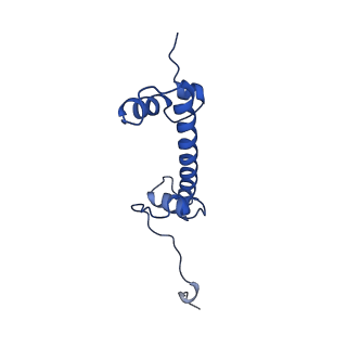 17634_8pep_G_v1-3
H3K36me2 nucleosome-LEDGF/p75 PWWP domain complex - pose 2