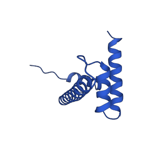 17634_8pep_H_v1-3
H3K36me2 nucleosome-LEDGF/p75 PWWP domain complex - pose 2
